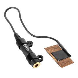 Realist WoodTone Bass Transducer