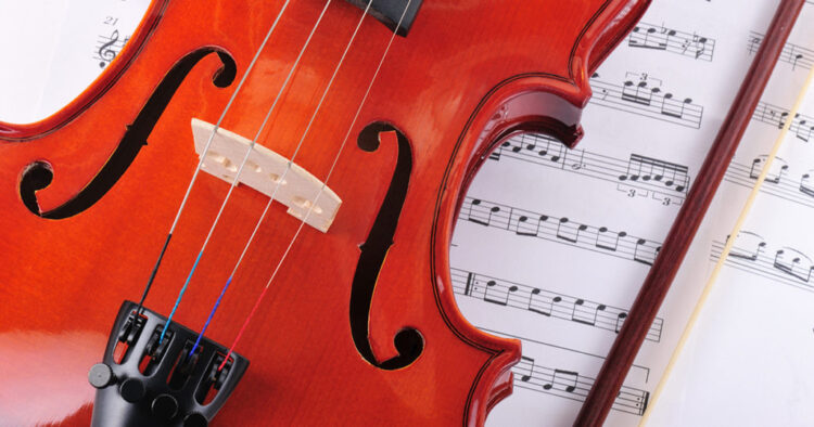 violin accessories