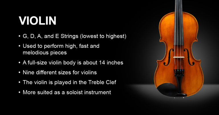 204 Violin Vs Viola Whats The Difference Caswells Strings