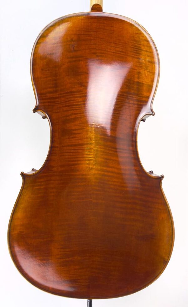 Lumiere Cello back