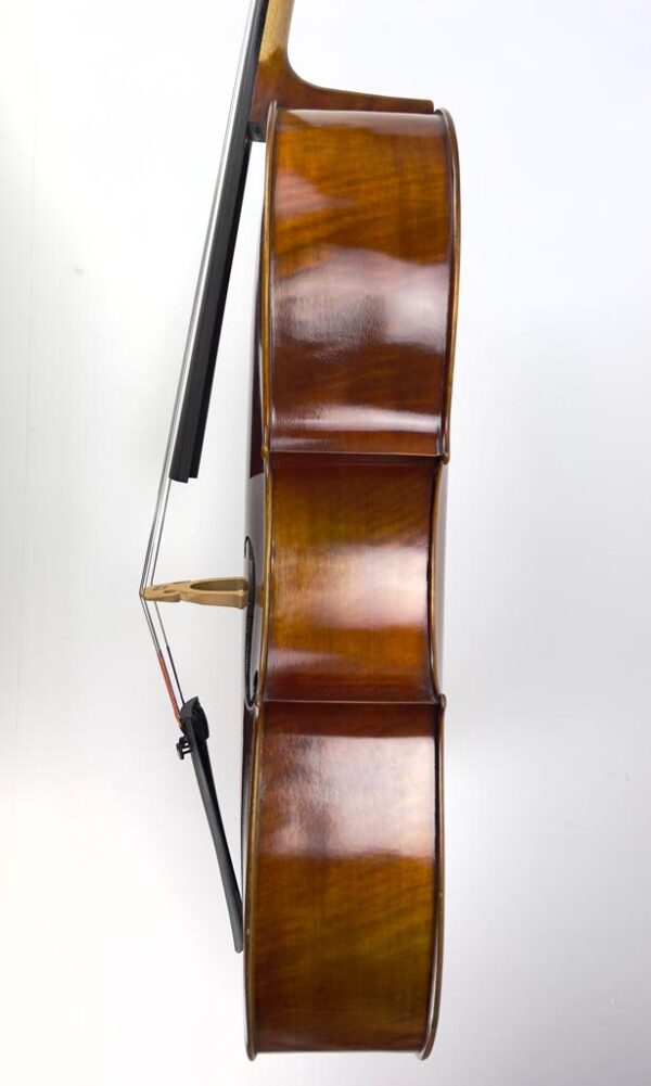 Lumiere Cello side