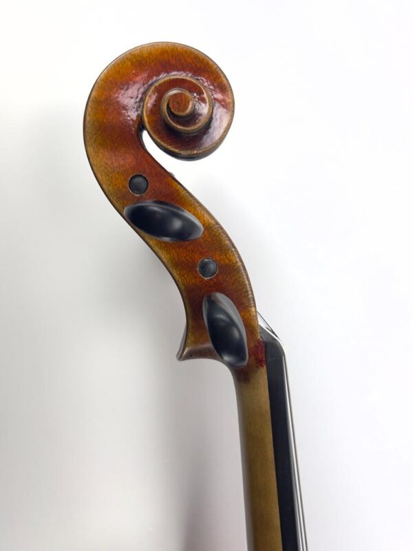 Hidersine Pianura 605 Violin scroll