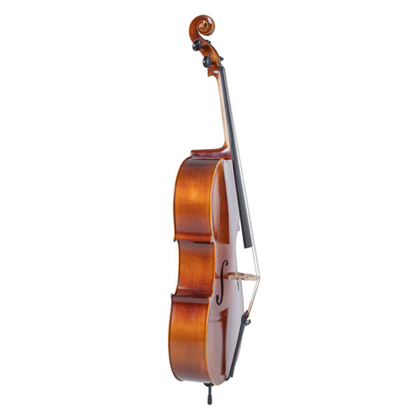 Gewa Allegro VC1 Cello outfit side