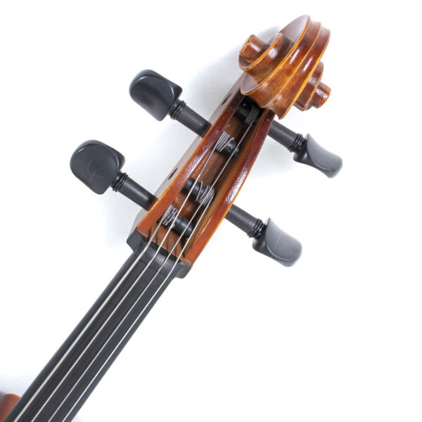 Gewa Allegro VC1 Cello outfit scroll