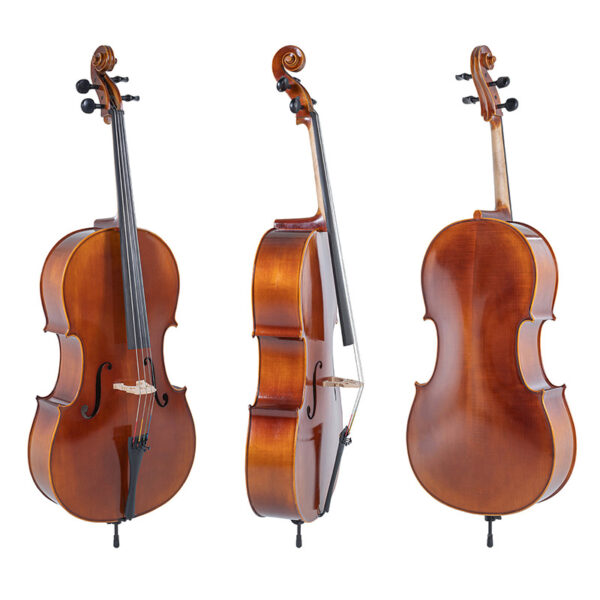 Gewa Allegro VC1 Cello outfit