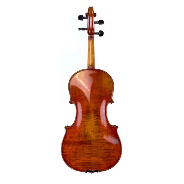 Angel Taylor V420S Violin back
