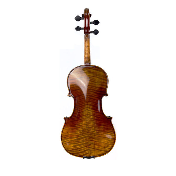 C L Wynn V620G Violin back
