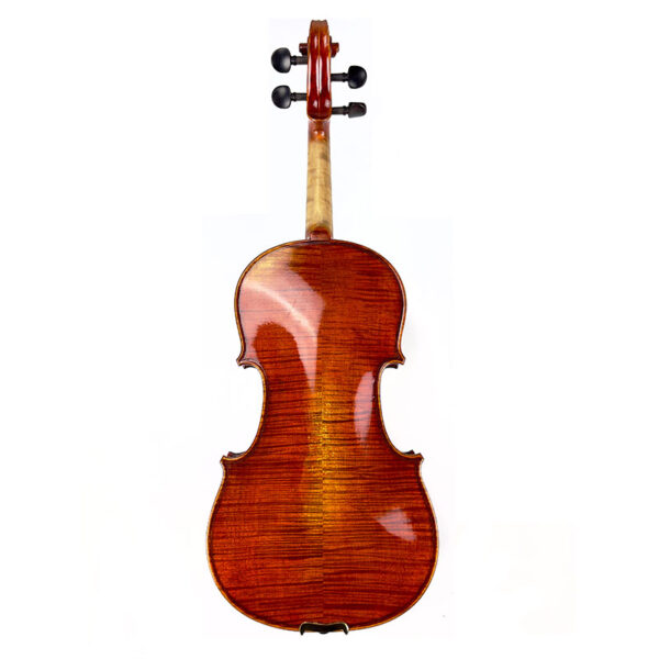 C L Wynn V720 Violin back