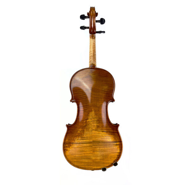 C L Wynn V925S Violin back