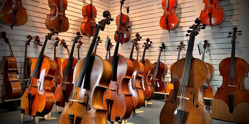 CELLO5