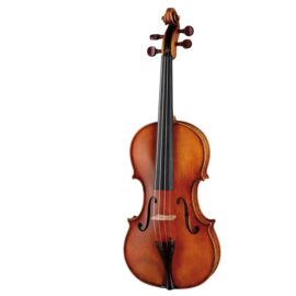 Paesold PA805GG Violin